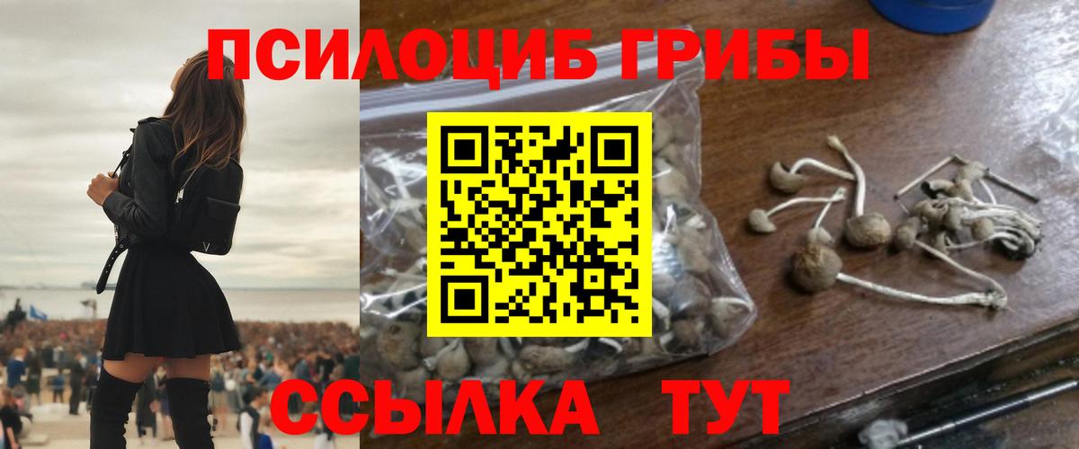 Псилоцибиновые грибы прущие грибы  Вход с VPN  Фрязино 