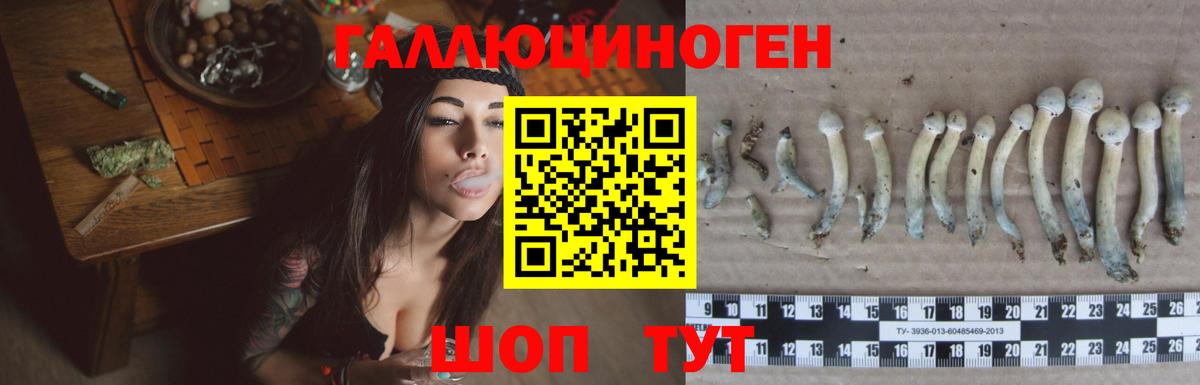 Галлюциногенные грибы мицелий Фрязино